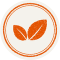 Frame_1261155268.png