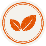 Frame_1261155268.png