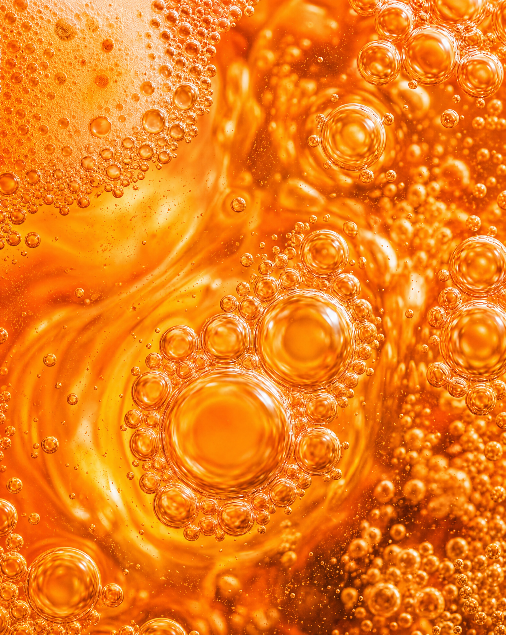 Ingrédients Fermentés